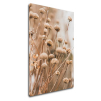 Impresi Obraz Škandinávsky štýl suchá tráva - 60 x 90 cm