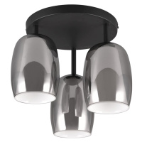 Stropné svietidlo so skleneným tienidlom ø 14 cm v čierno-striebornej farbe Barret – Trio Select