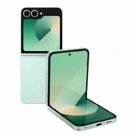 SAMSUNG GALAXY Z FLIP6 12256GB MINT SM-F741BLGGEUE
