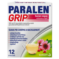 PARALEN Grip Horúci nápoj echinacea a šípky 12 vrecúšok