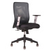 Ergonomická kancelárska stolička OfficePro Calypso Farba: sivá