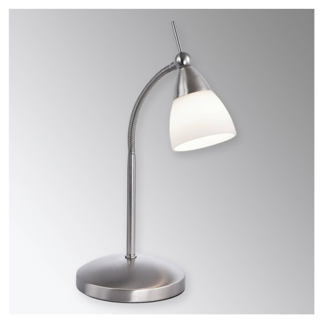 Stolná lampa Paul Neuhaus Pino, sivá, 45 cm, stmievateľná, G9