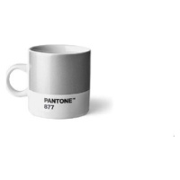 PANTONE Espresso - Silver 877 C, 120 ml