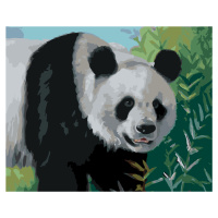 Maľovanie podľa čísel - PANDA (D. RUSTY RUST) Rámovanie: vypnuté plátno na rám, Rozmer: 40x50 cm