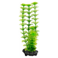 Dekorácia Tetra Rastlina Ambulia S 15cm