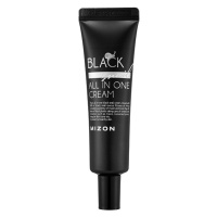 MIZON Pleťový krém s filtrátom sekrétu Afrického čierneho slimáka 90 % Black Snail All In One 35