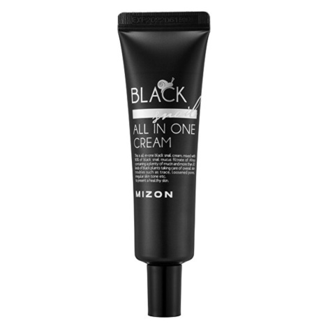 MIZON Pleťový krém s filtrátom sekrétu Afrického čierneho slimáka 90 % Black Snail All In One 35