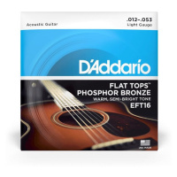 D'Addario EFT16 - Light - .012 - .053