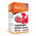 BioCo Vitamín C RETARD 500 mg s plodom šípky 100 ks