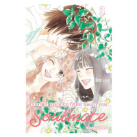 Viz Media Kimi ni Todoke: From Me to You - Soulmate 3