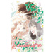 Viz Media Kimi ni Todoke: From Me to You - Soulmate 3