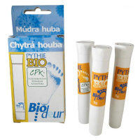 PYTHIE BIODEUR Múdra huba BIO 3 x 5 g