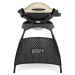 Weber Q 1000 Stand, Titanium