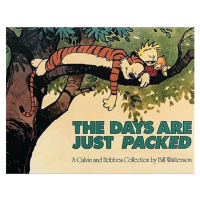 Sphere Days Are Just Packed: Calvin & Hobbes Series