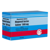 GALVEX Magnesii lactas 500 mg 80 tabliet