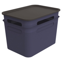 Tmavomodré plastové úložné boxy s vekom v súprave 2 ks 26,5x36,5x26 cm Brisen – Rotho