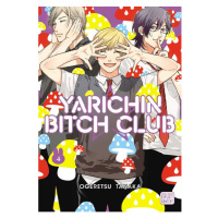 Viz Media Yarichin Bitch Club 04