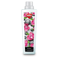 Dedra avivážny kondicionér lila fashion 750 ml