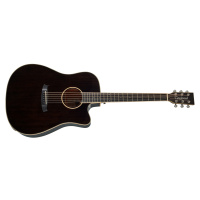 Tanglewood TW5 CE BS