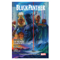 Marvel Black Panther 1: A Nation Under Our Feet Deluxe Edition