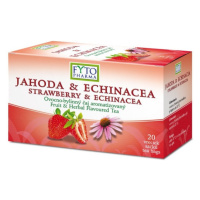 FYTO PHARMA Jahoda echinacea ovocno-bylinný čaj v nálevových vrecúškach 20 x 2 g