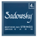 Sadowsky Blue Label Nickel 40