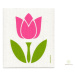 Jangneus Hubka - tulipán ružový