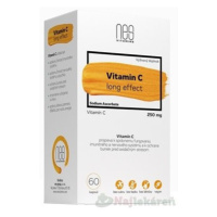 nesVITAMINS Vitamin C 250 mg long effect