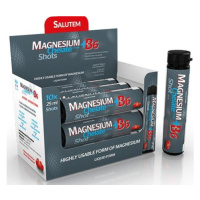 Salutem Magnesium chelate + B6 cherry ampulky 10x25 ml