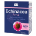 GS Echinacea FORTE 600 30 ks