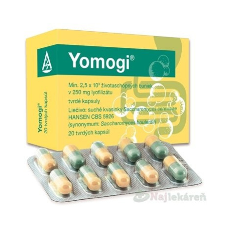 Yomogi cps.dur.20 x 250 mg