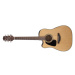 Takamine GD10CE LH Natural