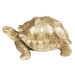 Dekoratívna soška korytnačky v zlatej farbe Kare Design Turtle