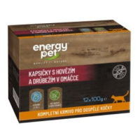 Energy Pet kapsičky s hovädzím pre mačky (12x100g) mix