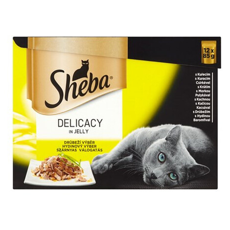 Sheba hydinová v želé pre mačky 12 x 85 g