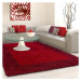 Kusový koberec Life Shaggy 1503 red Rozmery koberca: 80x150