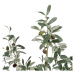 Umelý olivovník (výška  78 cm) Olive Tree – Ixia