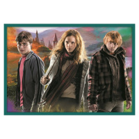 Trefl Puzzle Harry Potter, 10v1