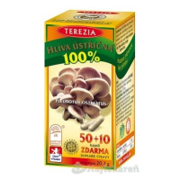 Terezia Company Hlíva ústřičná 60 kapsúl