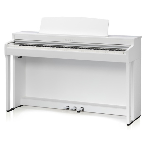 Kawai CN301W