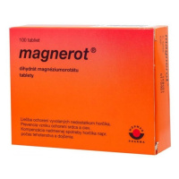 Magnerot tbl.100 x 500 mg