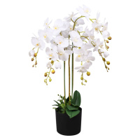 vidaXL Umelá rastlina, orchidea s kvetináčom 75 cm, biela