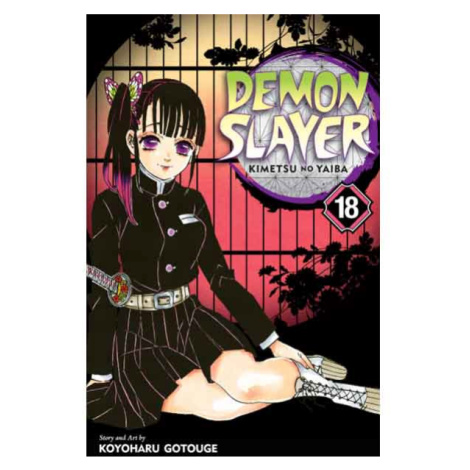 Viz Media Demon Slayer: Kimetsu no Yaiba 18