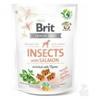 Brit Care Dog Crunchy Crack. Insec. Salmon Thyme 200g + Množstevná zľava