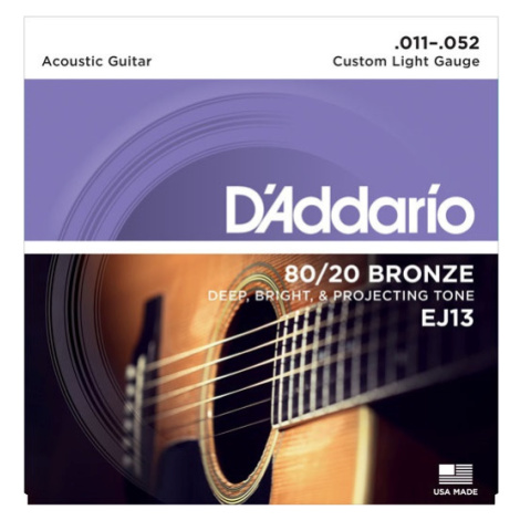 D'Addario EJ13