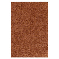 Kusový koberec Life Shaggy 1500 terra Rozmery koberca: 80x150