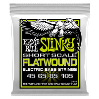 Ernie Ball 2818 Regular Slinky Flatwound Short Scale 45-105