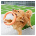 Reedog tréningový kruh pre psy oranžová - M 27,5 cm