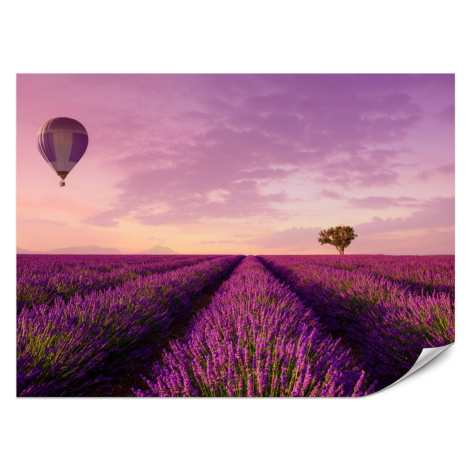 Muralo FOTOTAPETA Pre Obývaciu Izbu Levanduľové Pole Teplovzdušný Balón Provensálsko 100 x 70 cm