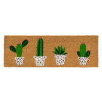 Rohožka z kokosového vlákna 25x75 cm Cactus – Casa Selección